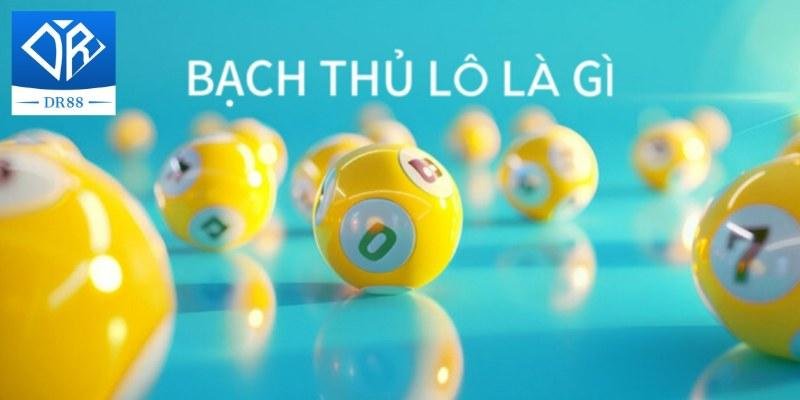 Bạch Thủ Lô Là Gì - Giải Đáp, Chia Sẻ Kinh Nghiệm Cần Biết