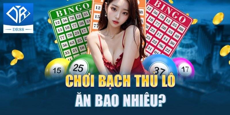 Bạch Thủ Lô Là Gì - Giải Đáp, Chia Sẻ Kinh Nghiệm Cần Biết