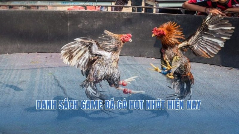 Đá Gà DR88 – Sân Chơi Cá Cược Uy Tín Bậc Nhất Cho Dân Chơi